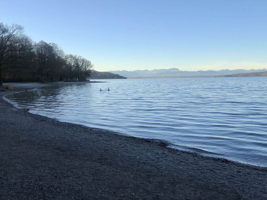 Starnberger See mit Alpen